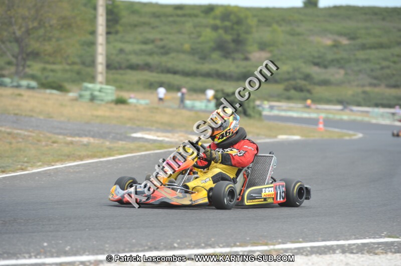 DSC (3410).JPG